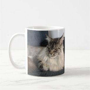 Café Caneca do gato de racum de Maine