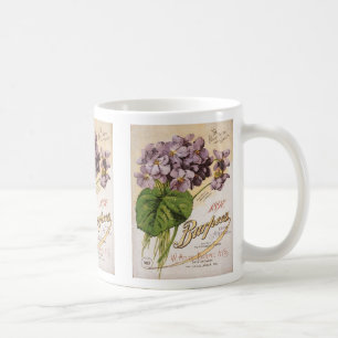 Café Caneca do Hydrangea do catálogo de Burpee