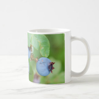 Café Caneca do mirtilo de Maine