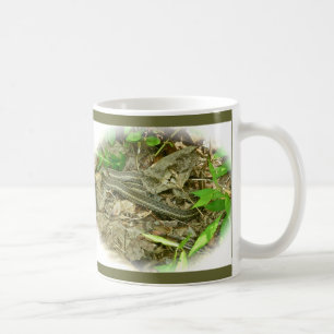 Café Caneca do nordeste do cobra de liga