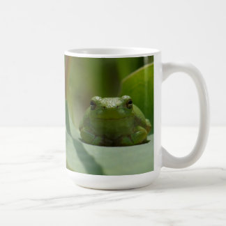 Café Caneca do sapo de árvore
