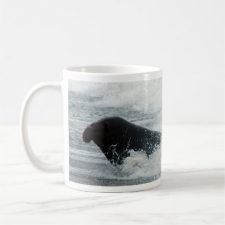 Café Caneca do surfista do selo de elefante