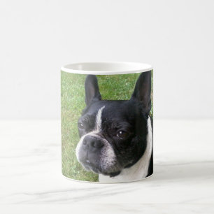 Café caneca do terrier de Boston