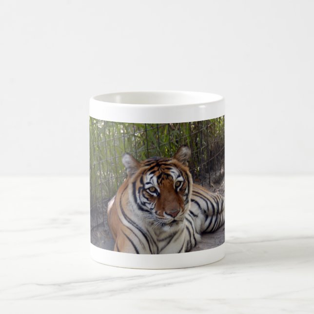 Café Caneca do tigre de Bengal 003 (Centro)
