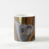 Caneca do urso de Koala