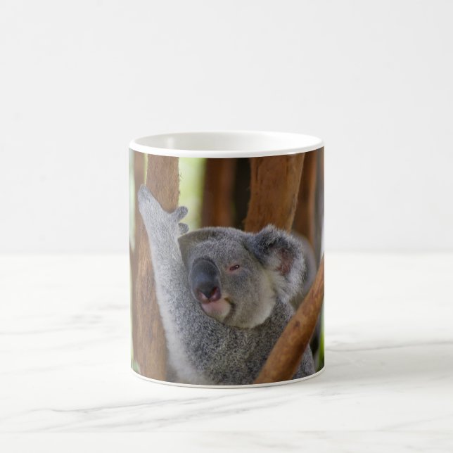 Café Caneca do urso de Koala (Centro)