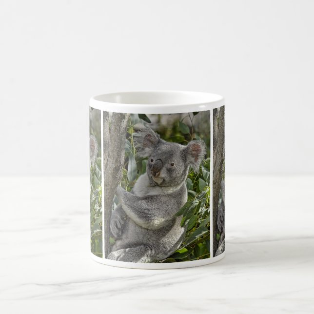 Café Caneca do urso de Koala 2 (Centro)
