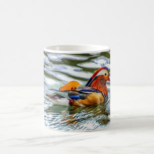 Café Caneca dos pássaros - pato de mandarino