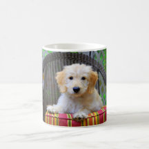 Caneca dourada do filhote de cachorro do Doodle