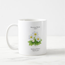 Café Caneca Flor de Esqueleto – Diphylleia grayi