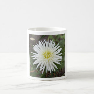 Café Caneca Floral Dahlia de Cacto Branco