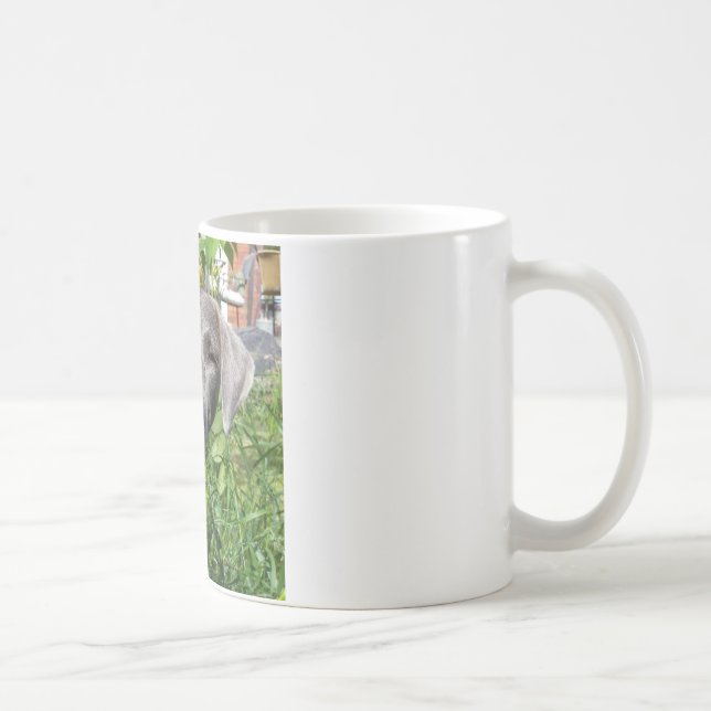 Café Caneca laçado azul de sorriso (Direita)