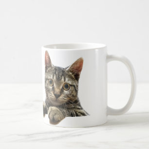 Café Caneca listrada cinzenta do gato de gato malhado