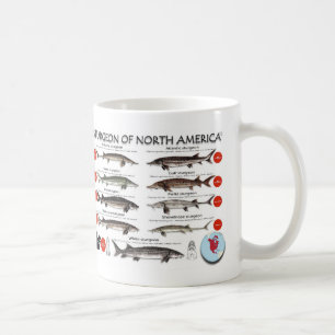 Café Caneca norte-americana de RedList do esturjão