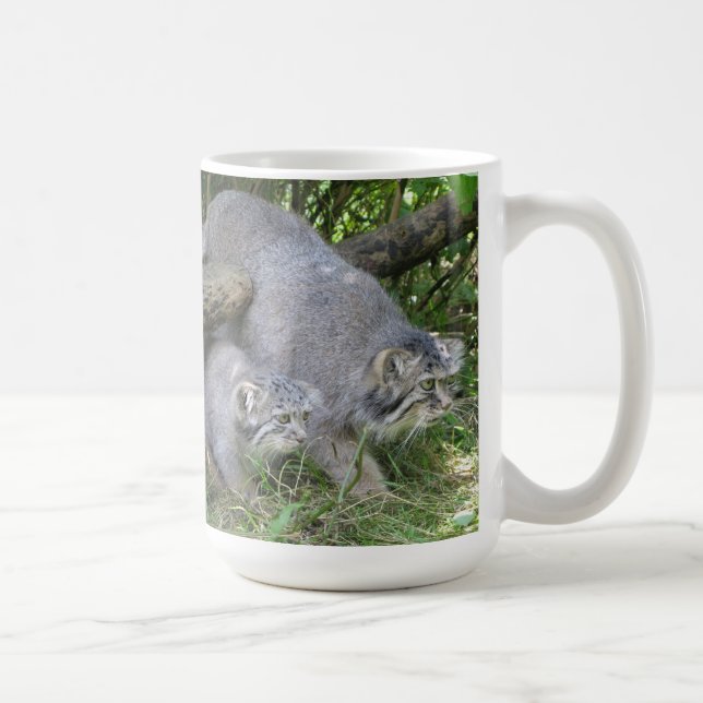 Café Caneca - o gato de Pallas (Direita)