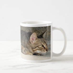 Café Caneca pensativa adorável do gato de gato malhado