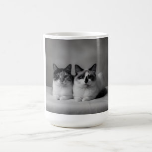 Café Caneca Personalizada para Pet – Foto de Gato em Al
