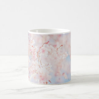 Café CANECA - ramo de sakura