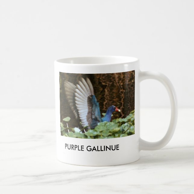 CAFÉ CANECA ROXA DE GALLINULE (Direita)