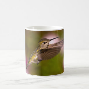 Café Colibri que voa a caneca do colibri de Anna fêmea
