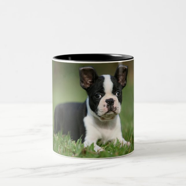 Café Em Dois Tons A caneca a mais bonito da foto de Boston Terrier (Centro)