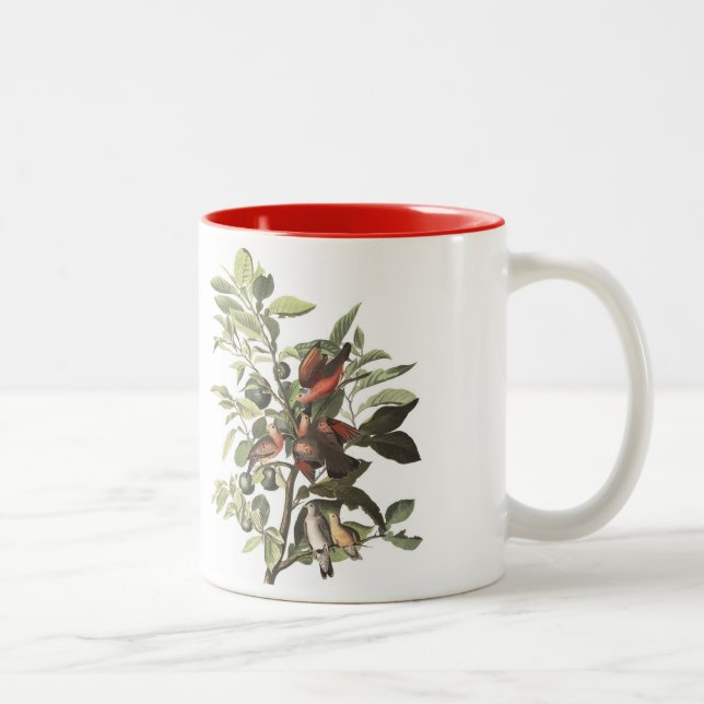 Café Em Dois Tons A caneca do pássaro de Audubon, terra mergulhou, (Direita)