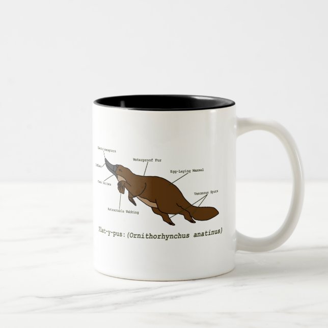 Café Em Dois Tons A caneca surpreendente de Platypus (Direita)
