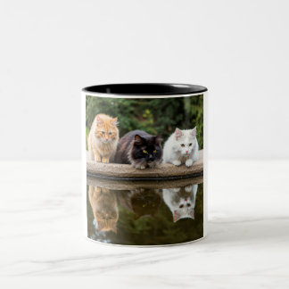 Café Em Dois Tons Amigos Felinos Refletores: Uma Caneca Cerâmica De 