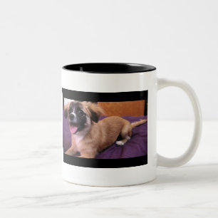 Café Em Dois Tons Andre: O rei da caneca do filhote de cachorro!