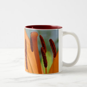 Café Em Dois Tons caneca cerâmica de lírio-dia com duas cores
