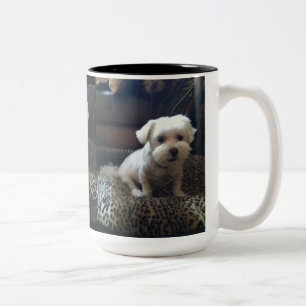 CAFÉ EM DOIS TONS CANECA CUSTOMIZÁVEL DA FOTO DO ANIMAL DE ESTIMAÇ