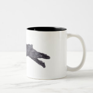 Café Em Dois Tons Caneca da arte do cão do DES Flandres de Bouvier