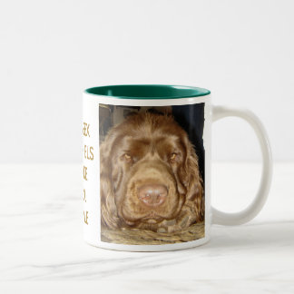 Café Em Dois Tons Caneca da cara do Spaniel de Sussex