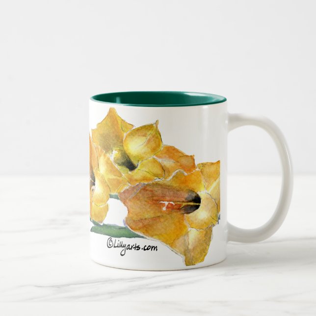 Café Em Dois Tons Caneca da pintura da aguarela de Gladiola (Direita)