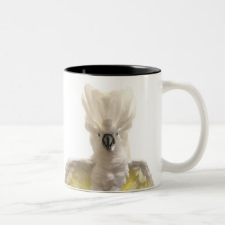 Café Em Dois Tons Caneca de Cecil