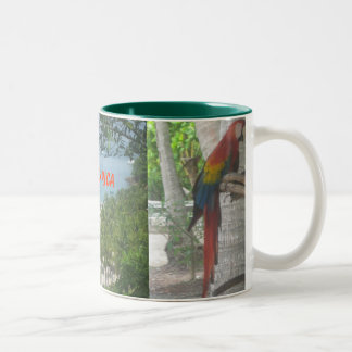 Café Em Dois Tons Caneca de Costa Rica