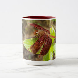 Café Em Dois Tons Caneca de Dragonfly Vermelha e Preta
