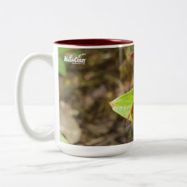 Café Em Dois Tons Caneca de Dragonfly Vermelha e Preta