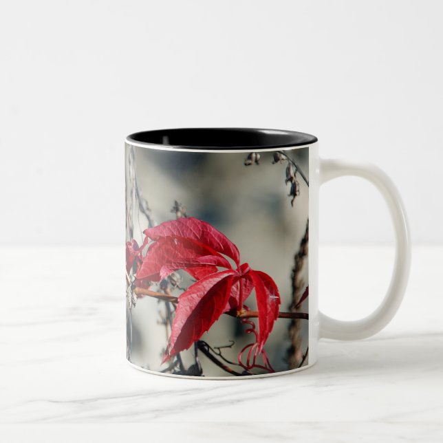 Café Em Dois Tons Caneca de folhas vermelhas (Direita)