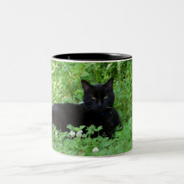 Café Em Dois Tons Caneca de Gato Preto