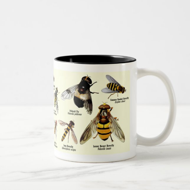 Café Em Dois Tons Caneca de Hoveryfly - tom 2 (Direita)