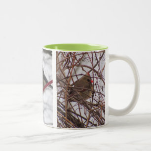 Café Em Dois Tons Caneca de inverno