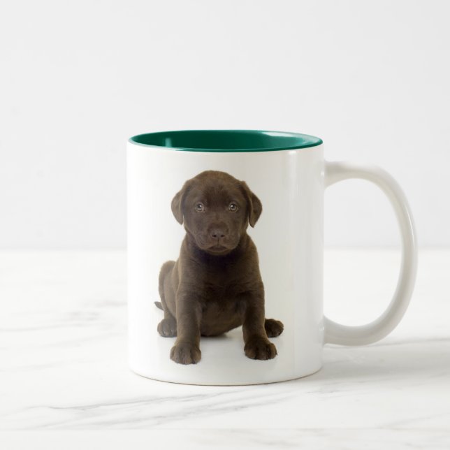 Café Em Dois Tons Caneca de Labrador do chocolate (Direita)