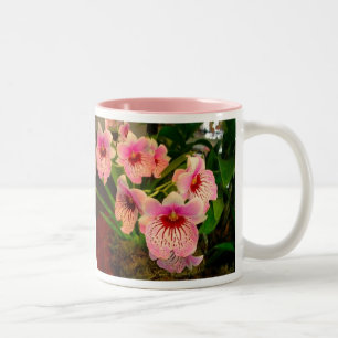 Café Em Dois Tons Caneca de Olivia