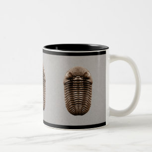 Café Em Dois Tons Caneca de Trilobite