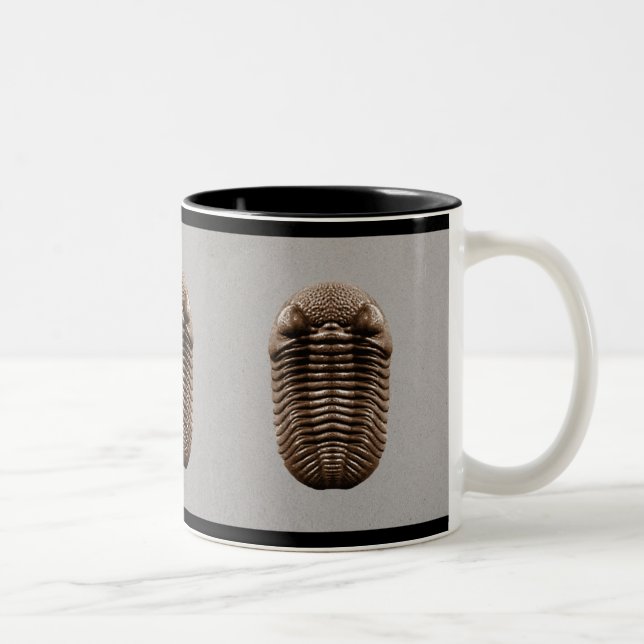 Café Em Dois Tons Caneca de Trilobite (Direita)