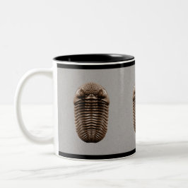 Café Em Dois Tons Caneca de Trilobite