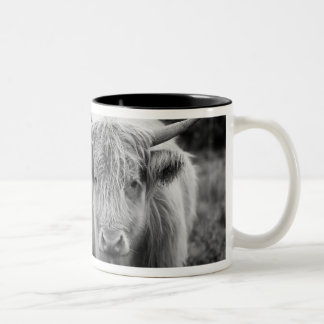 Café Em Dois Tons Caneca do Coo de Heilan