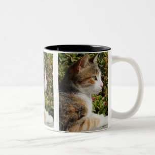 Café Em Dois Tons Caneca do gato de Cleo