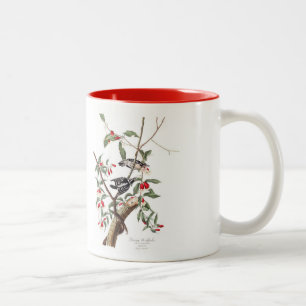 Café Em Dois Tons Caneca do pássaro de Audubon, pica-pau Downy, 15